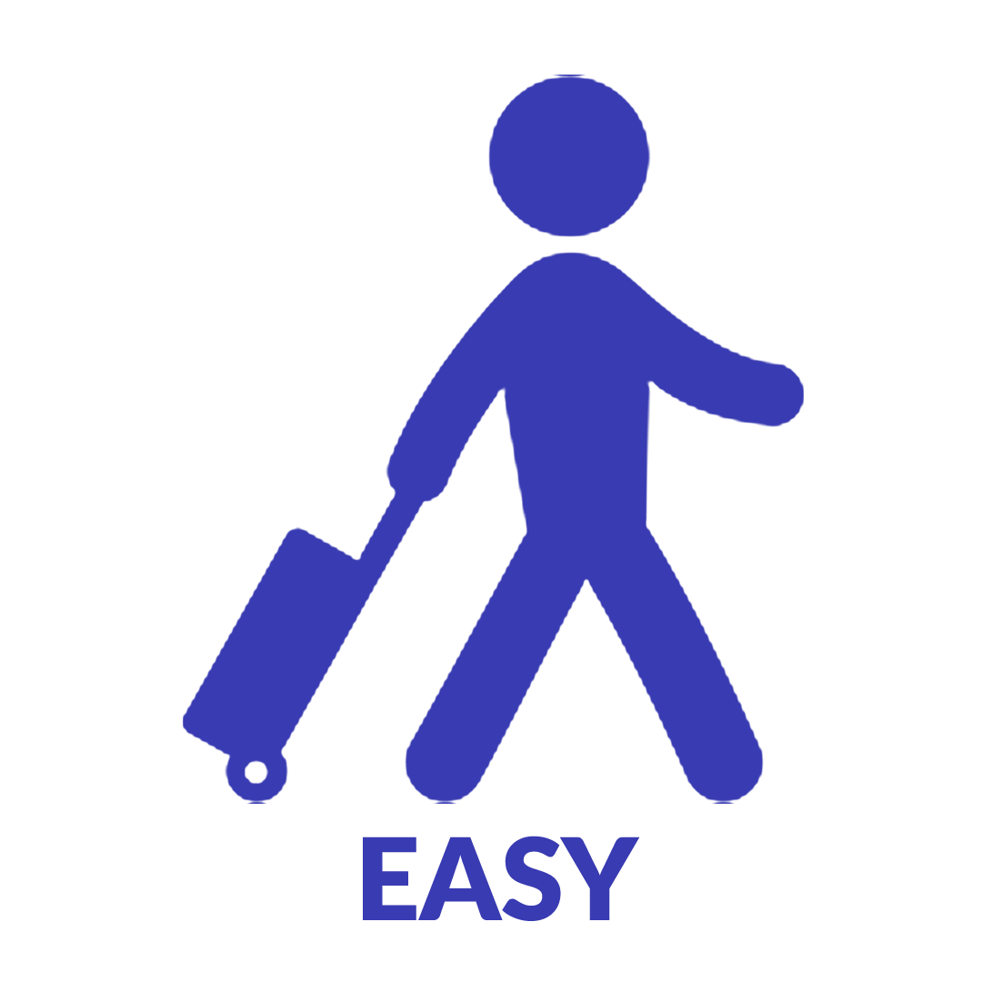 Easy travel icon